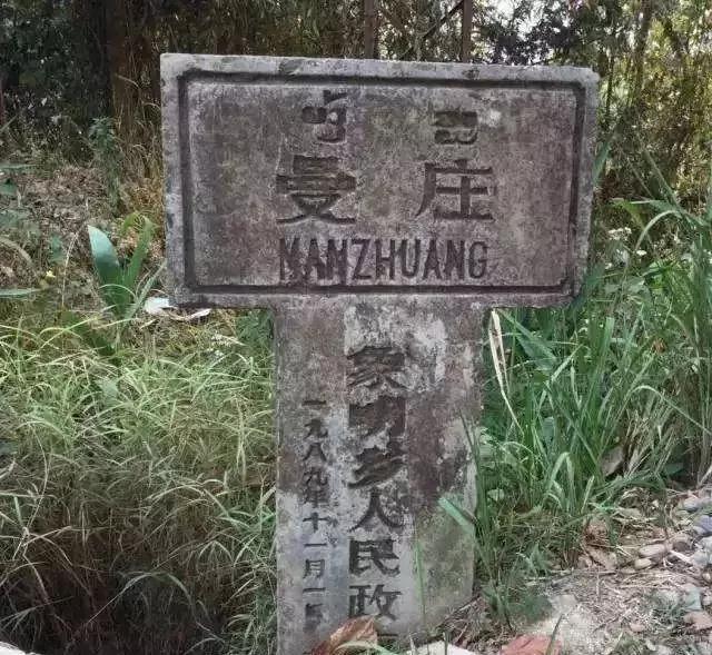 2025年蠻磚古樹(shù)春茶價(jià)格是多少？